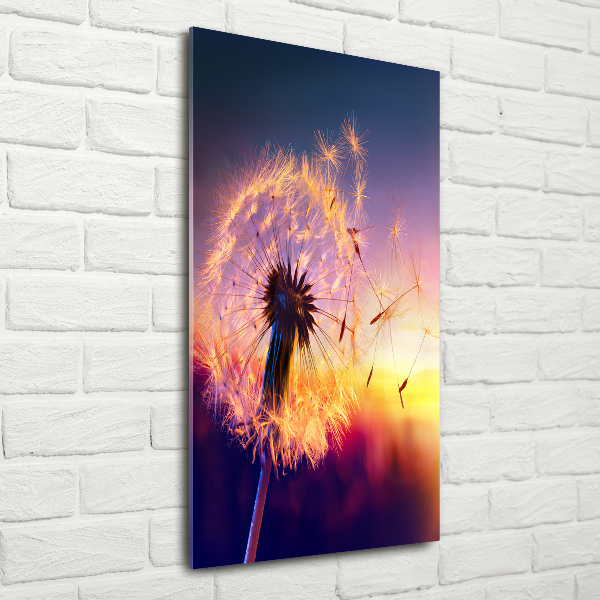 Printed glass wall art Dandelion