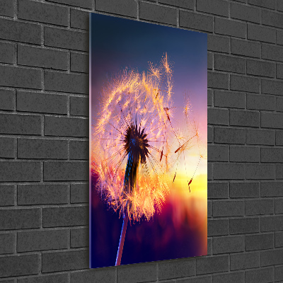 Printed glass wall art Dandelion