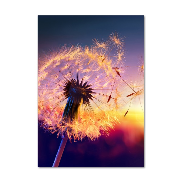 Printed glass wall art Dandelion