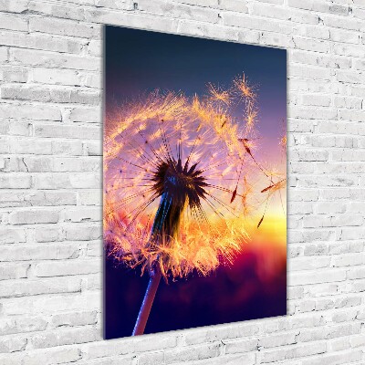 Printed glass wall art Dandelion