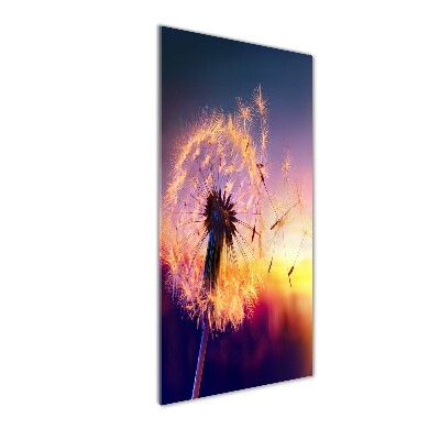 Printed glass wall art Dandelion