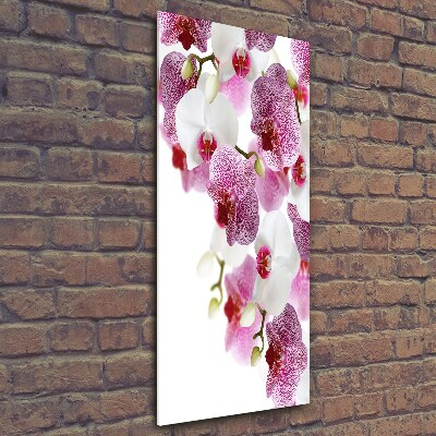 Glass picture wall art Orchid