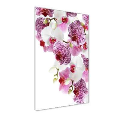 Glass picture wall art Orchid