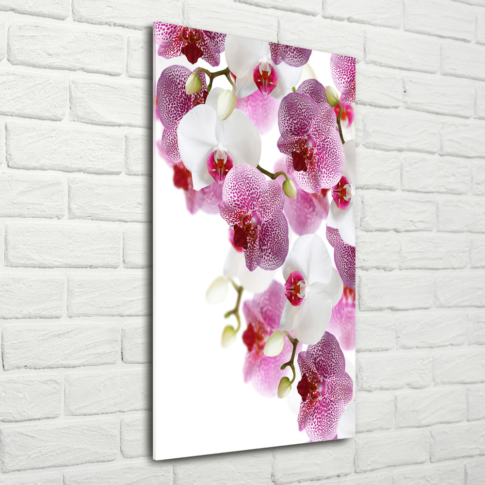 Glass picture wall art Orchid