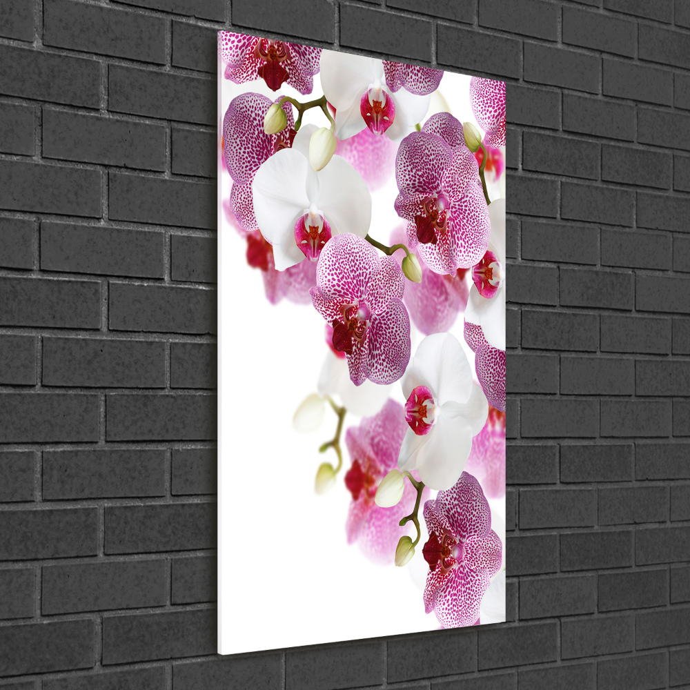 Glass picture wall art Orchid