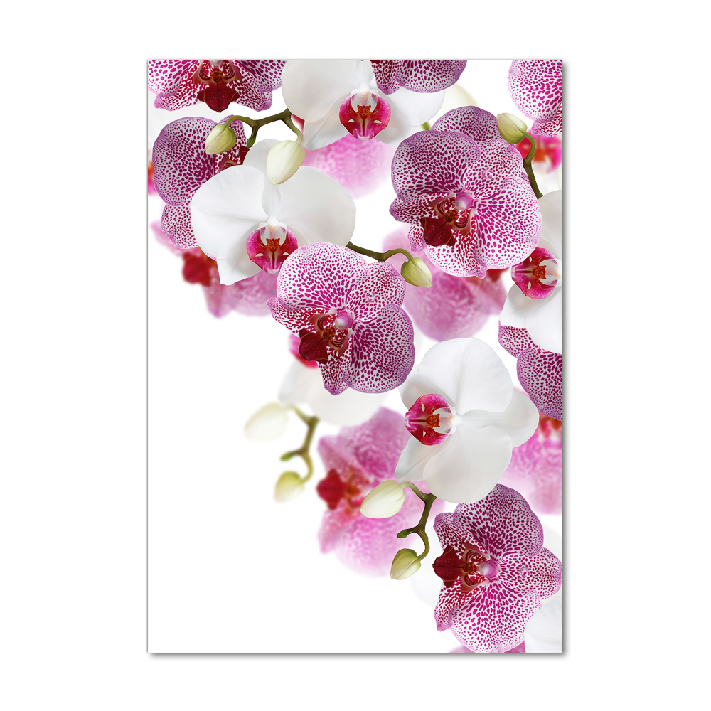 Glass picture wall art Orchid