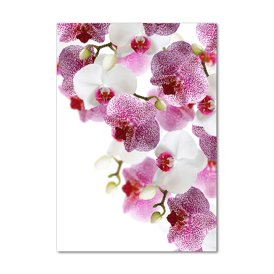 Glass picture wall art Orchid