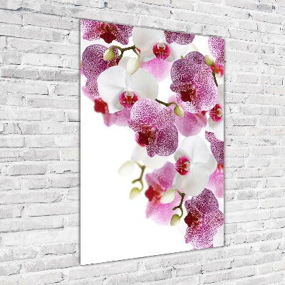 Glass picture wall art Orchid