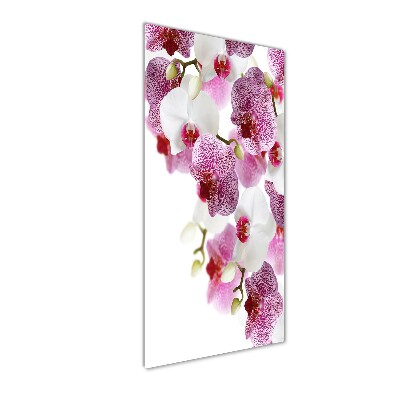 Glass picture wall art Orchid