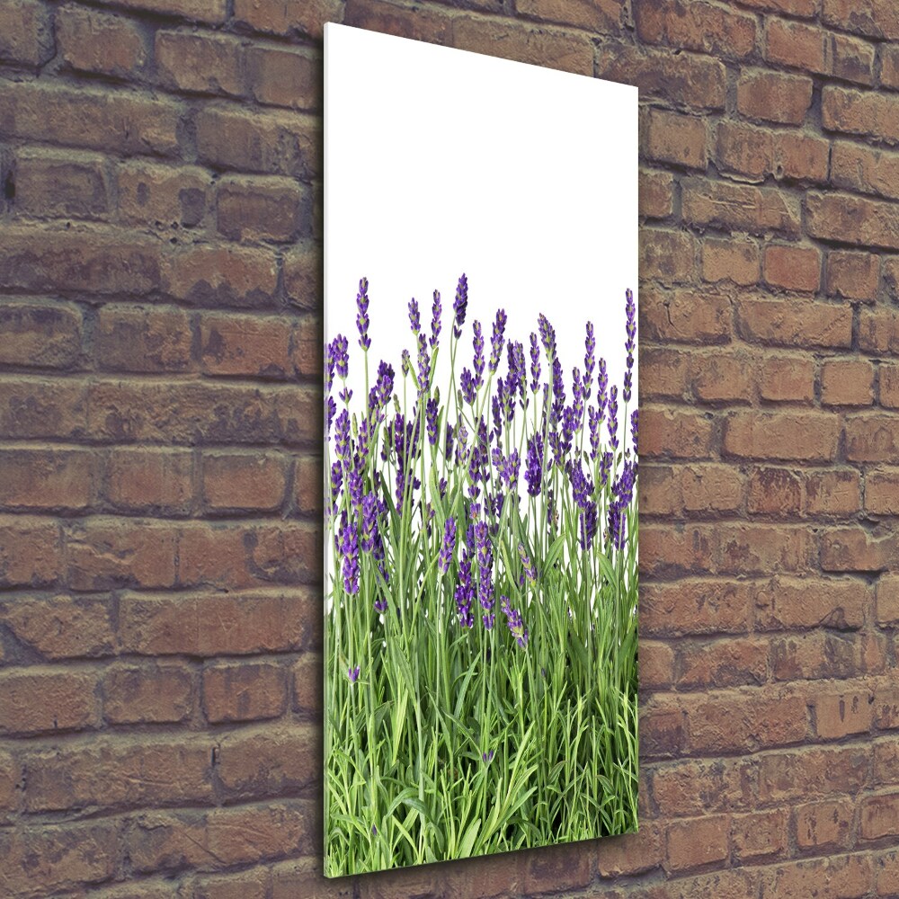 Printed glass wall art Lavender field