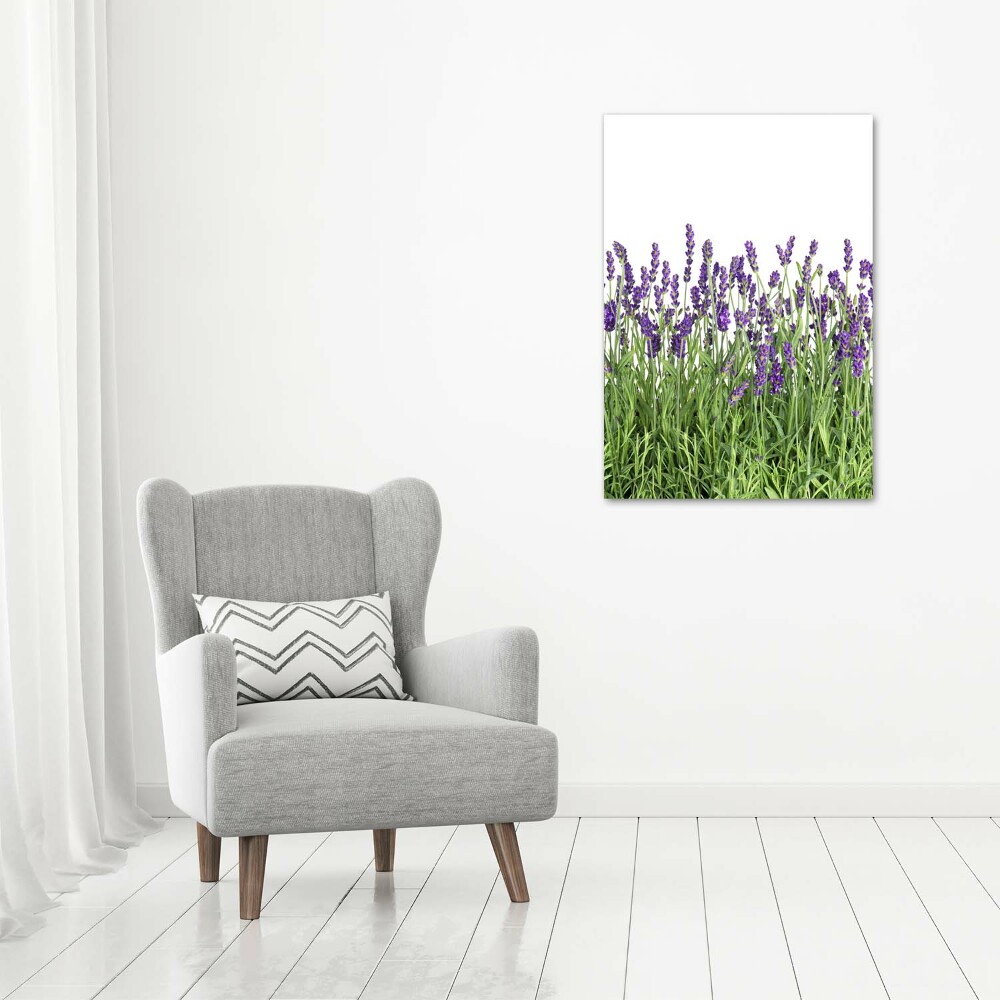 Printed glass wall art Lavender field