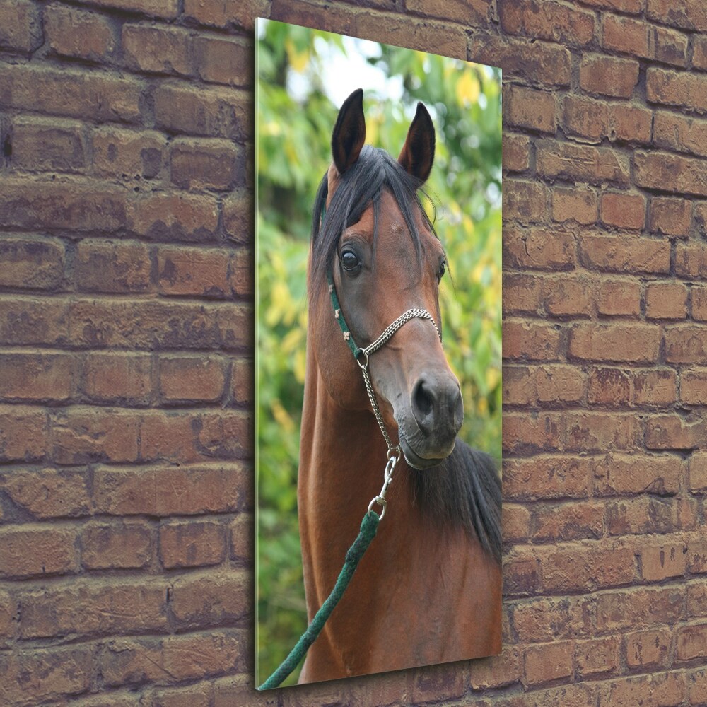 Print on a a glass Portrait of a horse