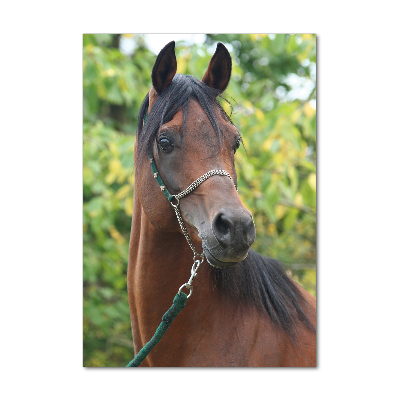 Print on a a glass Portrait of a horse