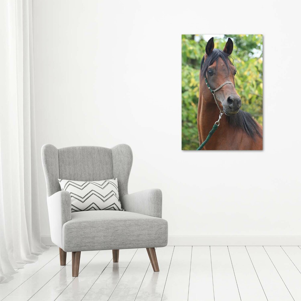 Print on a a glass Portrait of a horse