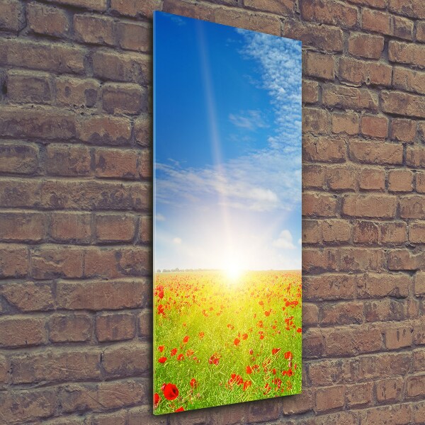 Glass picture wall art Mak field