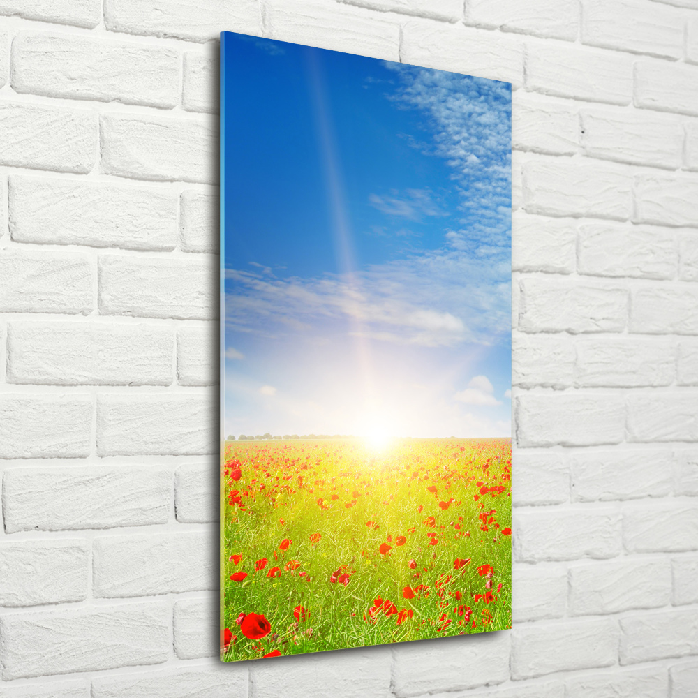 Glass picture wall art Mak field