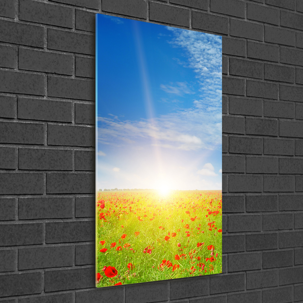 Glass picture wall art Mak field