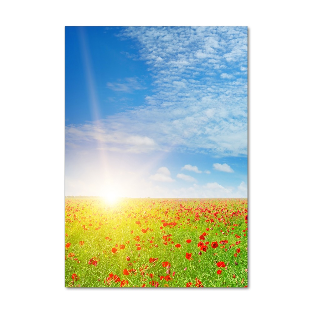 Glass picture wall art Mak field