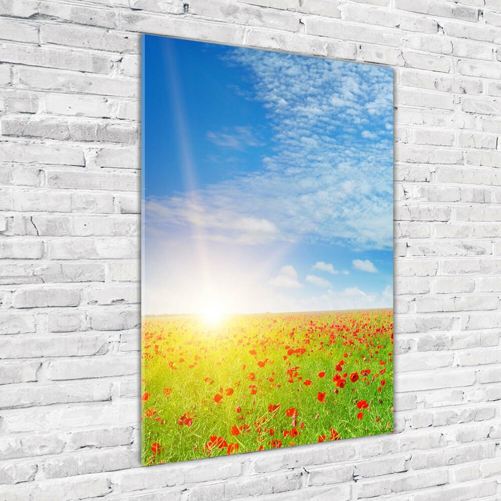 Glass picture wall art Mak field