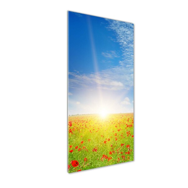 Glass picture wall art Mak field