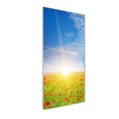 Glass picture wall art Mak field