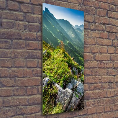 Glass picture wall art Mountains in the summer