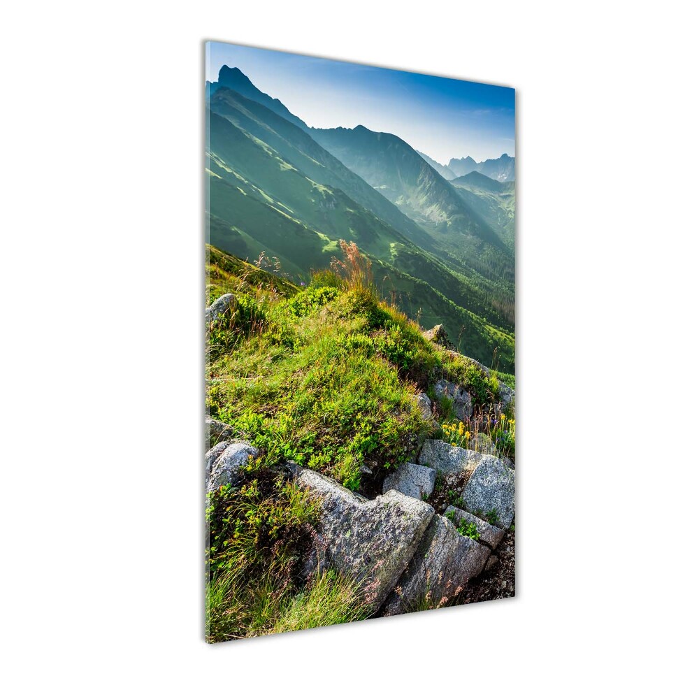 Glass picture wall art Mountains in the summer