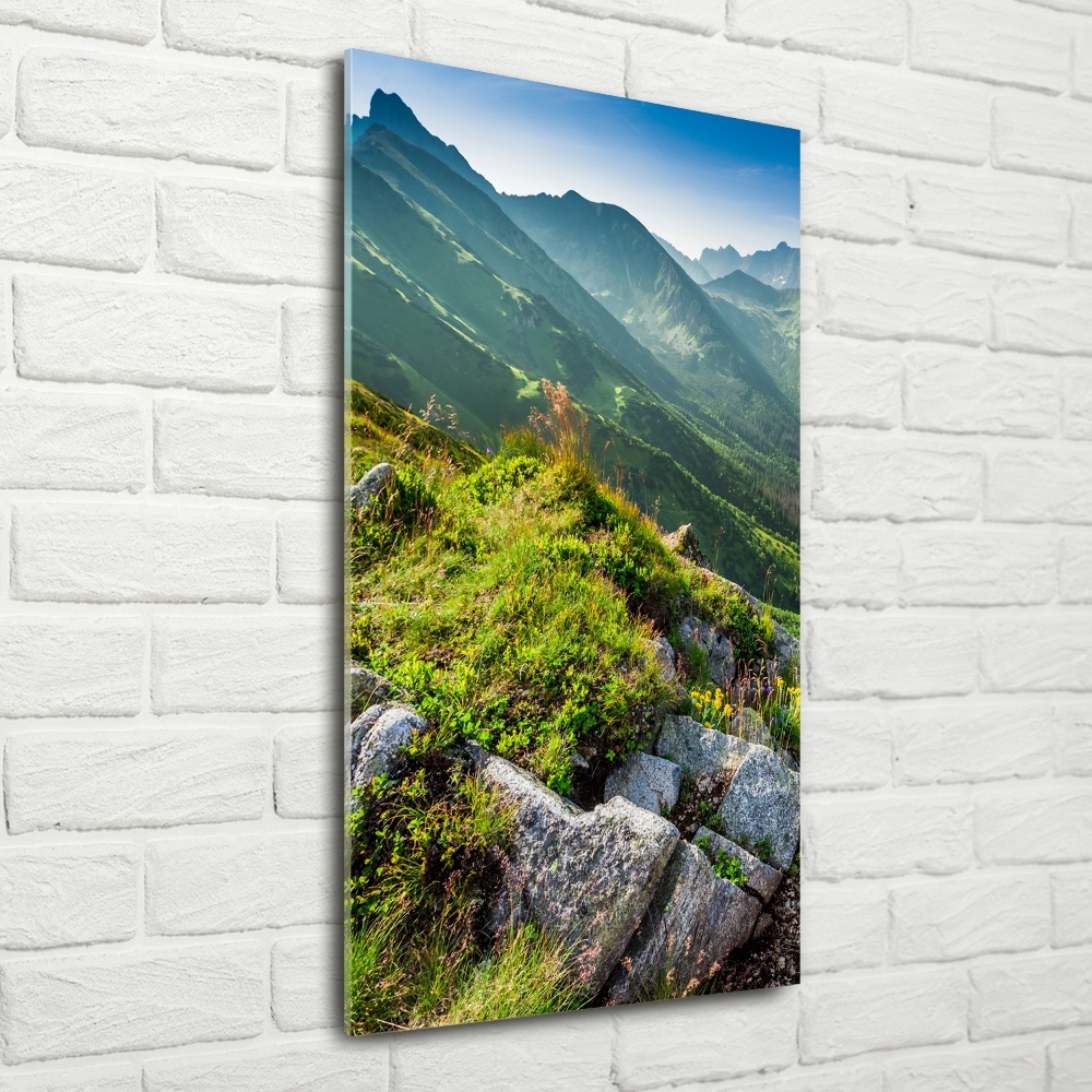 Glass picture wall art Mountains in the summer