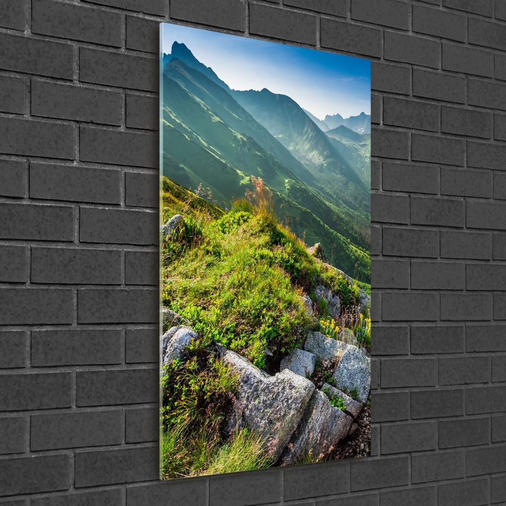 Glass picture wall art Mountains in the summer