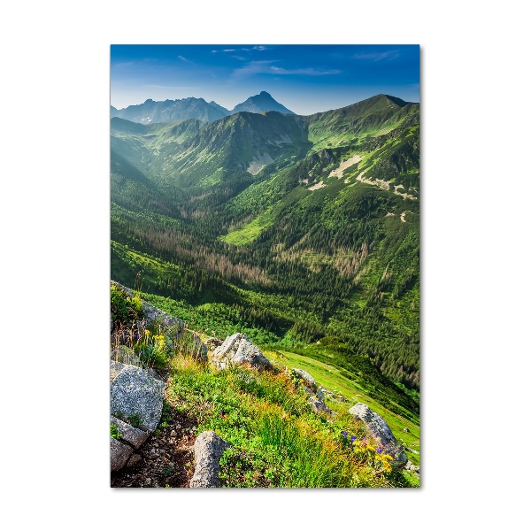 Glass picture wall art Mountains in the summer