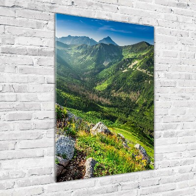 Glass picture wall art Mountains in the summer