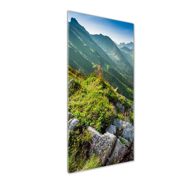 Glass picture wall art Mountains in the summer