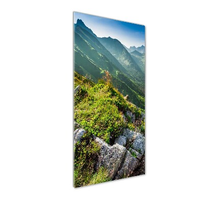 Glass picture wall art Mountains in the summer