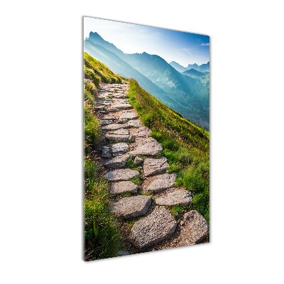 Printed glass wall art Mountain trail