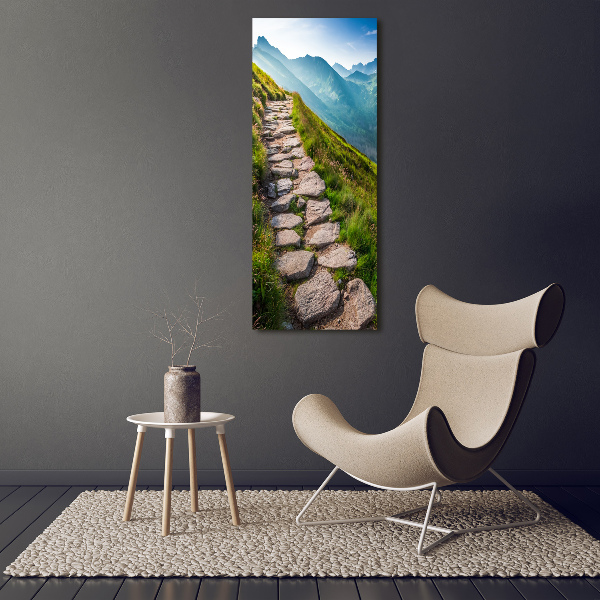 Printed glass wall art Mountain trail