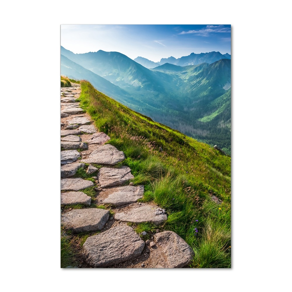 Printed glass wall art Mountain trail