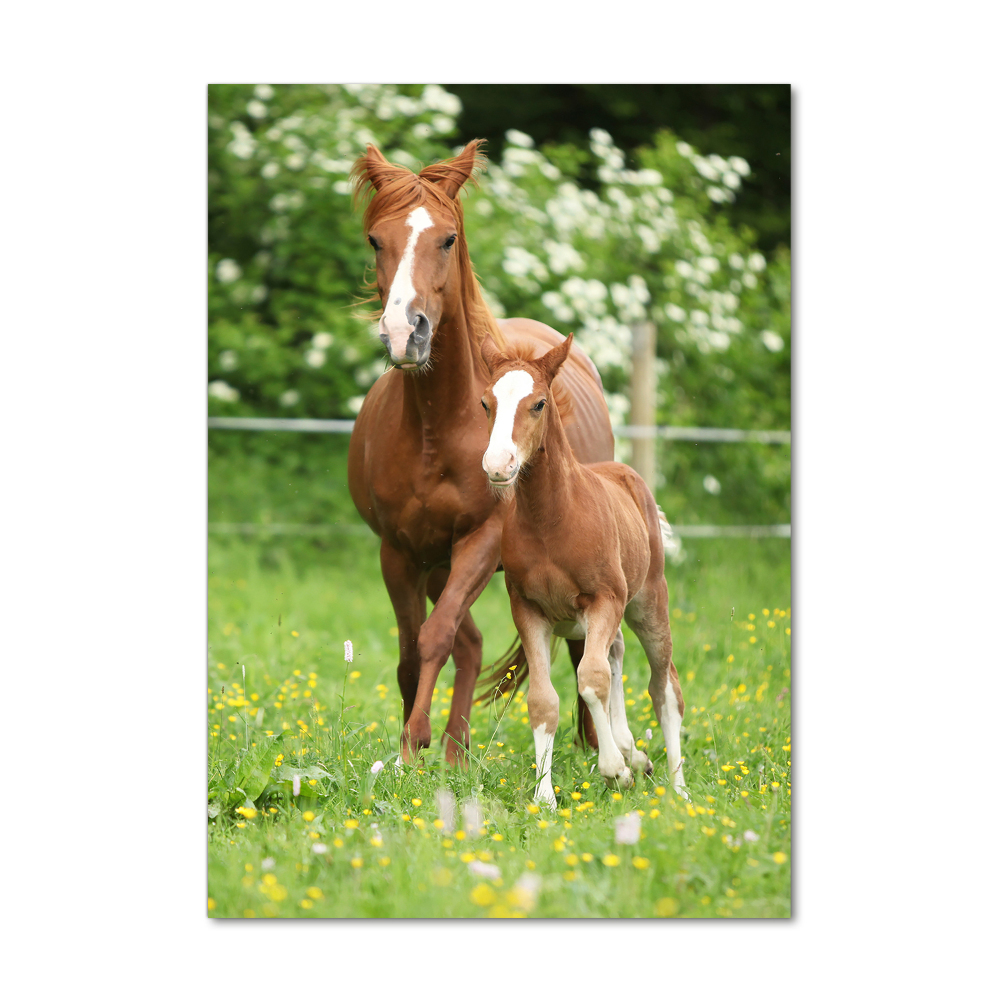 Glass wall art Mare and foal