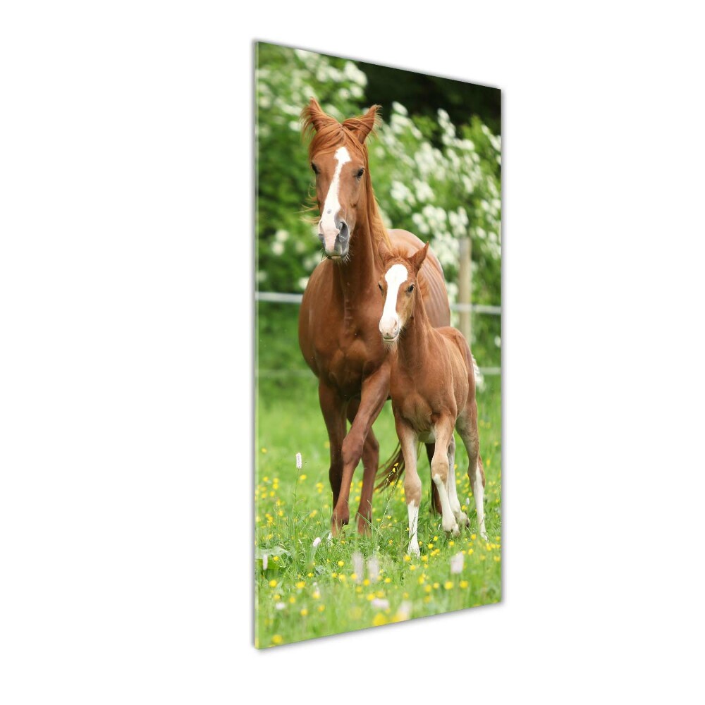 Glass wall art Mare and foal