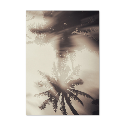 Photo printed on glass Palm trees