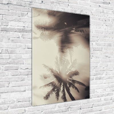 Photo printed on glass Palm trees