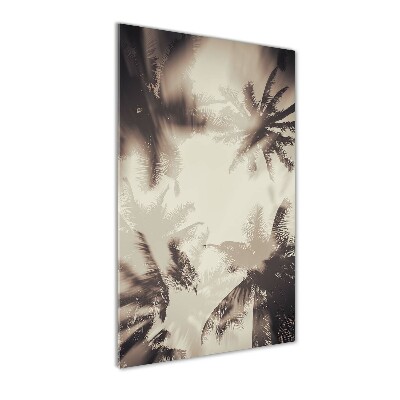 Photo printed on glass Palm trees