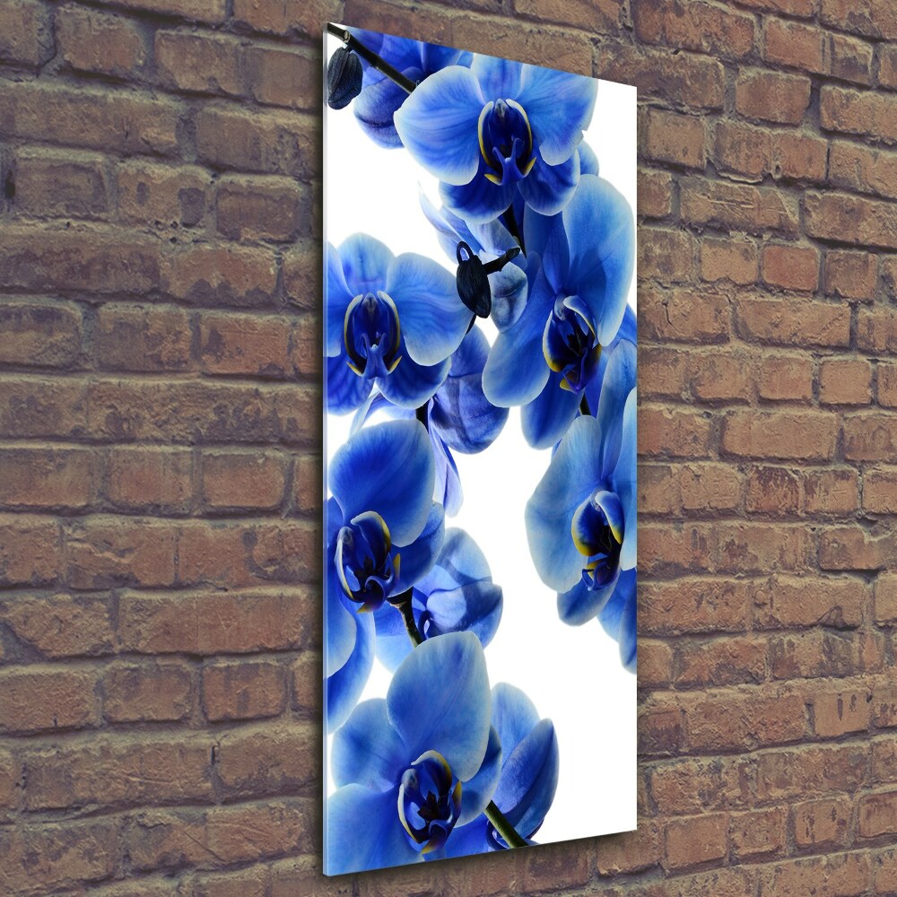 Photo printed on glass Blue orchid