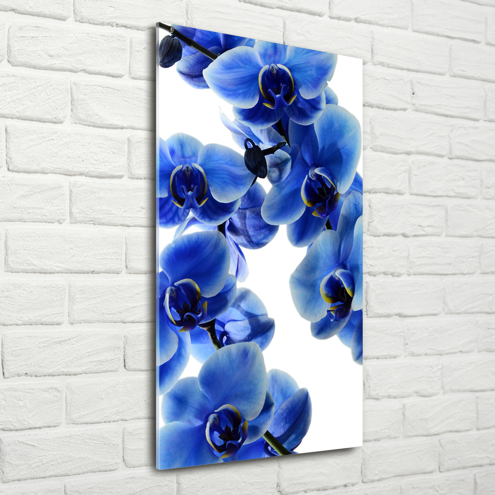 Photo printed on glass Blue orchid