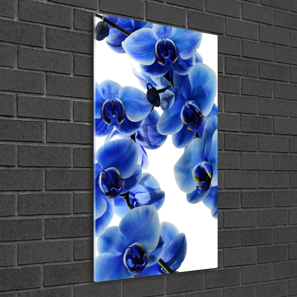 Photo printed on glass Blue orchid