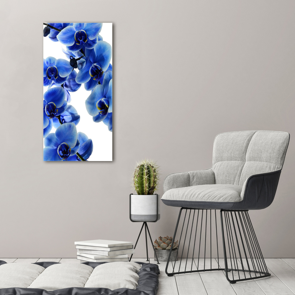 Photo printed on glass Blue orchid