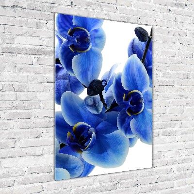 Photo printed on glass Blue orchid