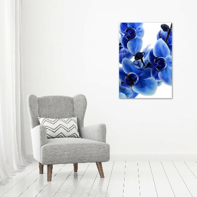 Photo printed on glass Blue orchid