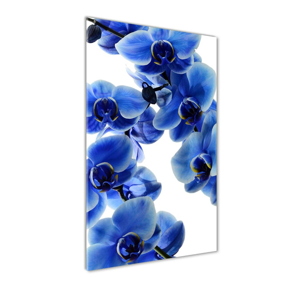 Photo printed on glass Blue orchid