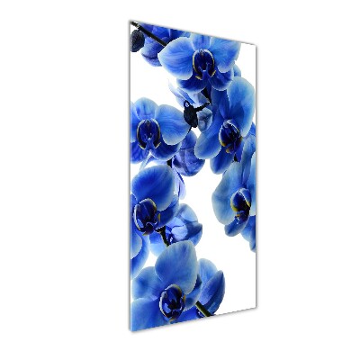 Photo printed on glass Blue orchid