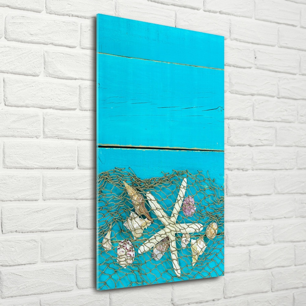 Glass picture wall art Shells and starfish